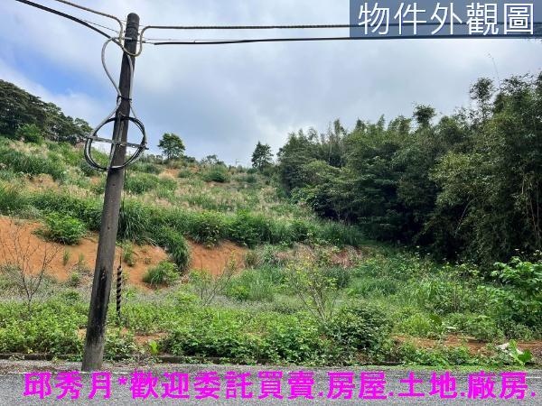 三芝農地-3
