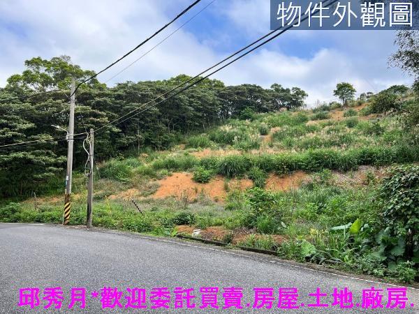 三芝農地-4