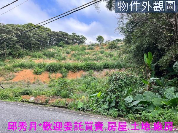 三芝農地-5