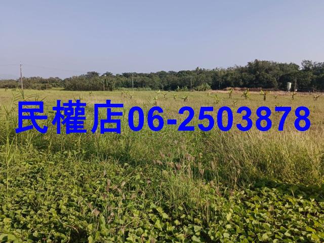 台南農地-2