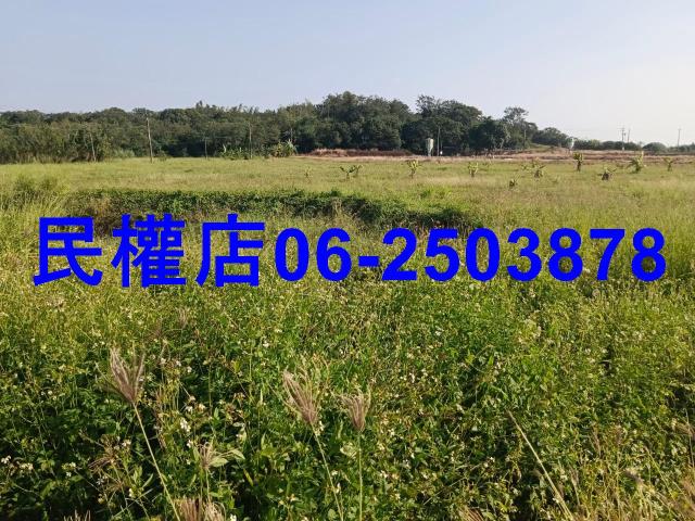 台南農地-4