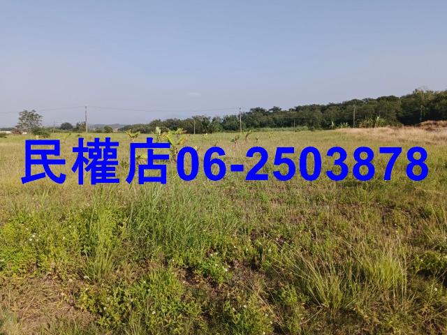 台南農地-7