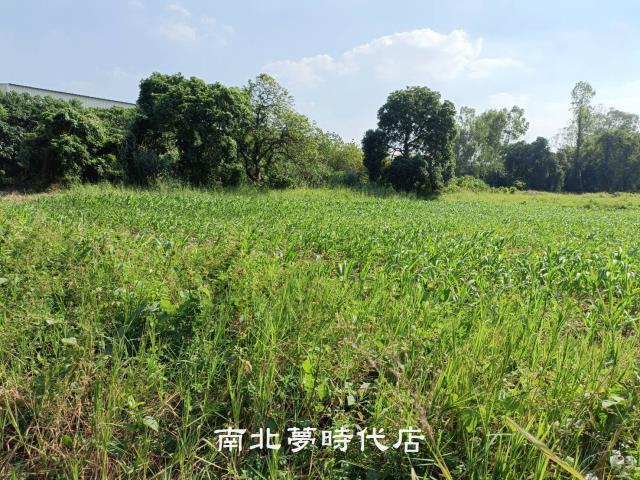 善化農地-4