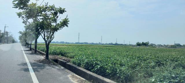 台南農地-1