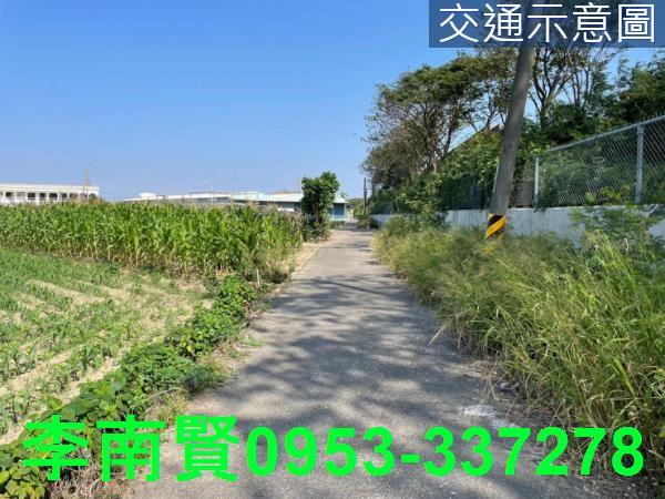 新營農地-10