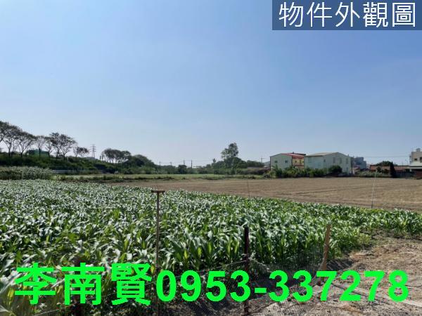 新營農地-5