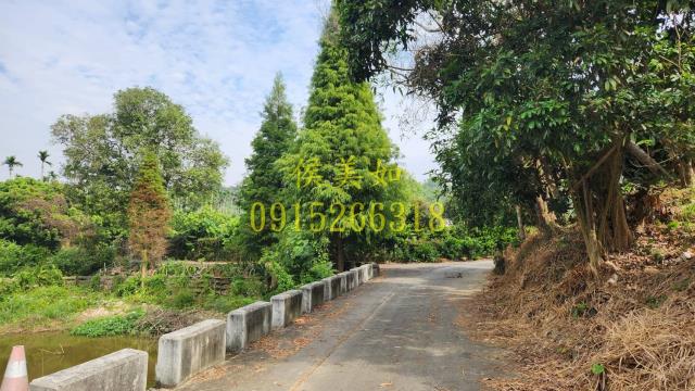 東區農地-9