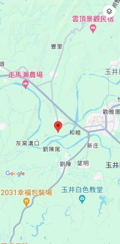 玉井農地-12