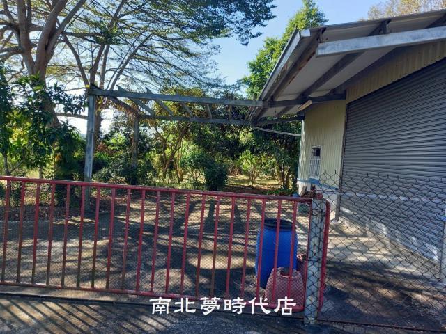 玉井農地-5