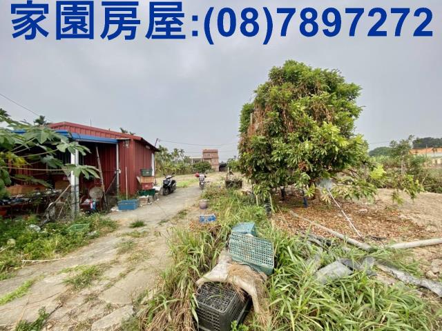 屏東潮州農地-6