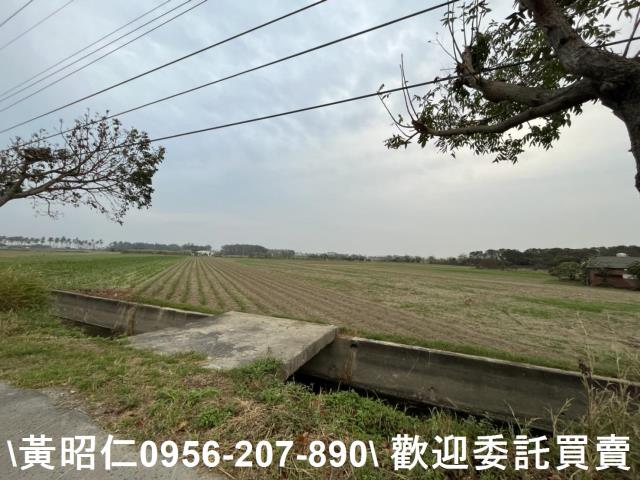 台南西港農地-1