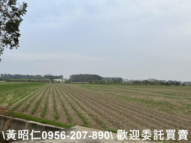 台南西港農地-2