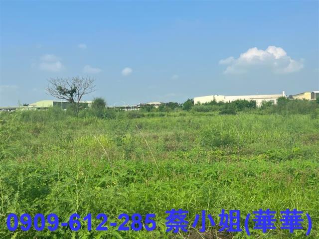 麻豆工業地-1