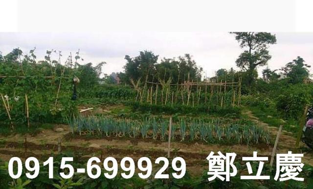 桃園平鎮農地-2
