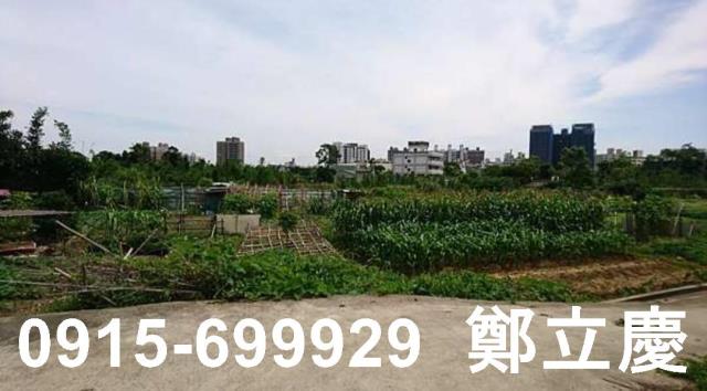 桃園平鎮農地-5