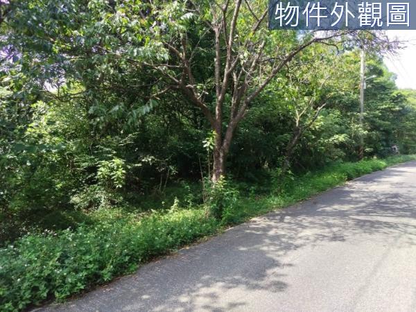 三芝農地-4