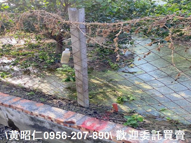台南農地-5