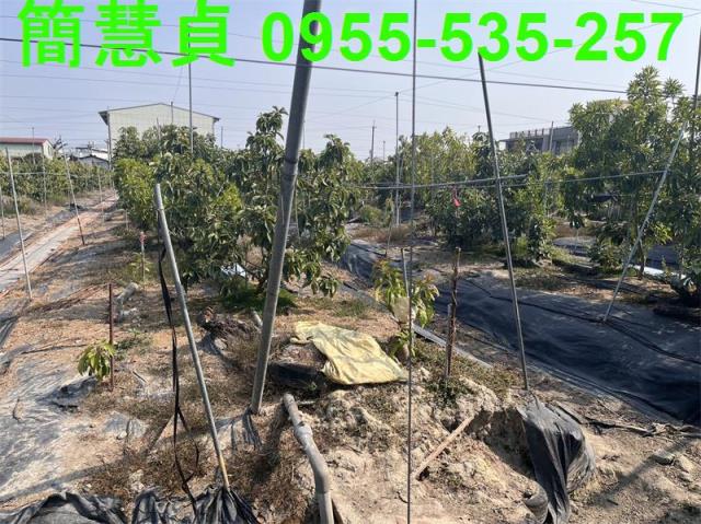 南投農地-4