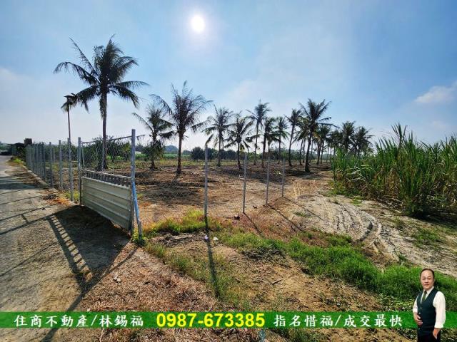 台南安南農地-4