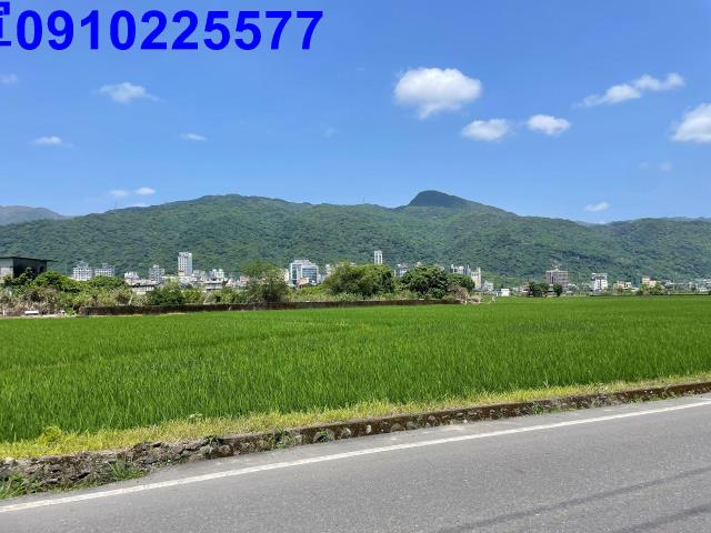 礁溪農地-4