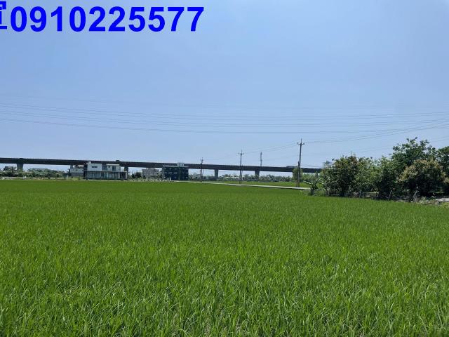 礁溪農地-6