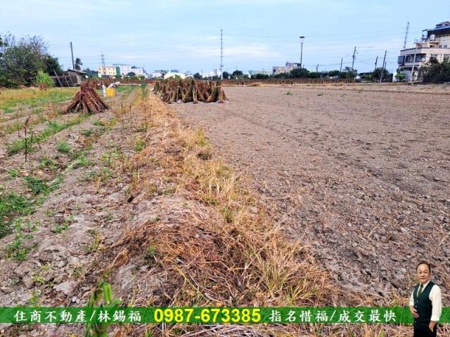 台南善化農地-8