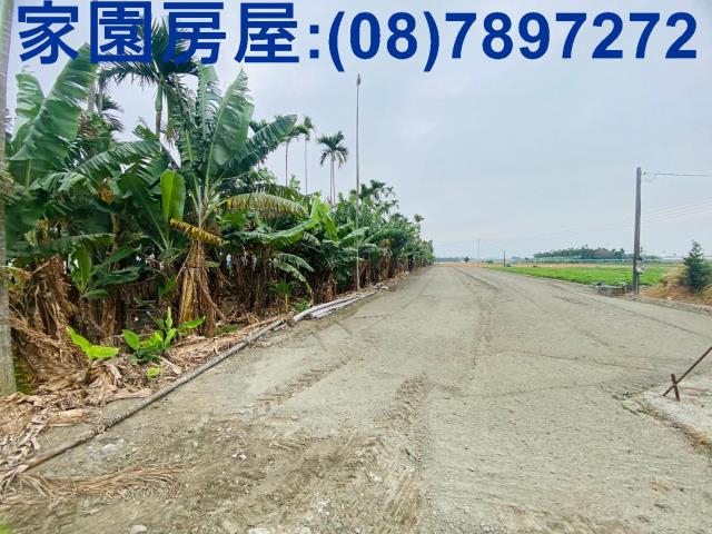 屏東新園農地-7