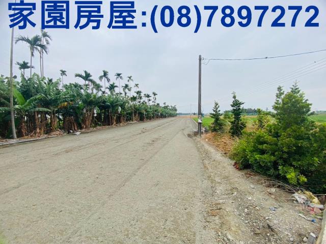 屏東新園農地-4