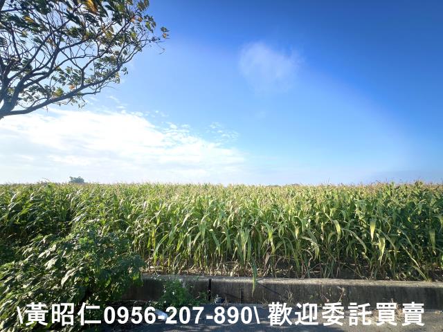 新營農地-3