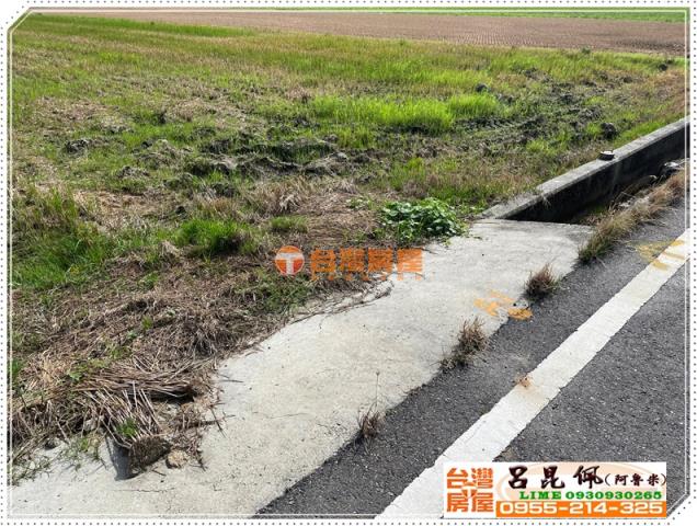 水林農地-3