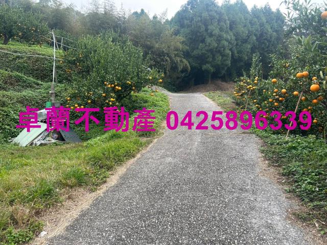 大湖山坡地-4