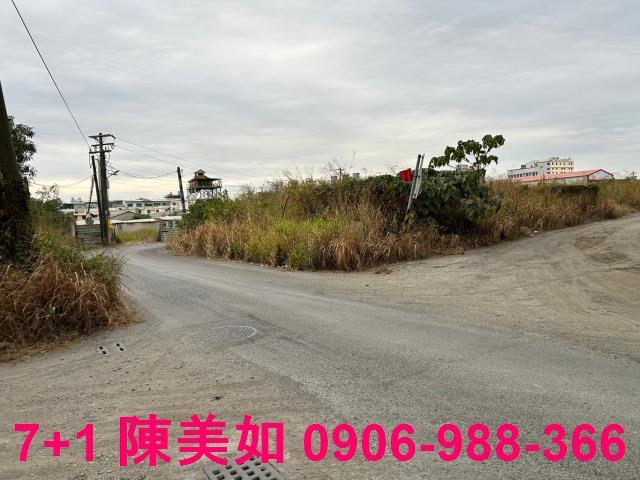 高雄大社農地-1