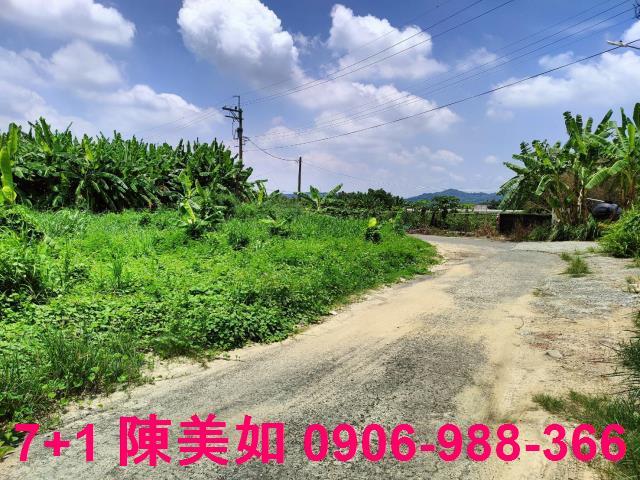 高雄大社農地-1