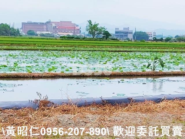 台南農地-11