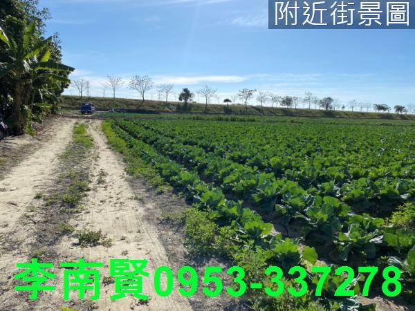 台南仁德農地-4