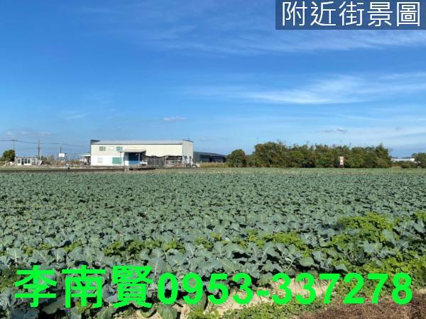 台南仁德農地-6