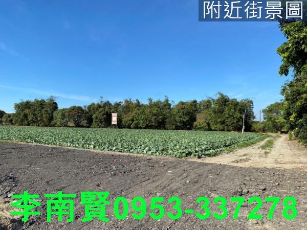 台南仁德農地-7