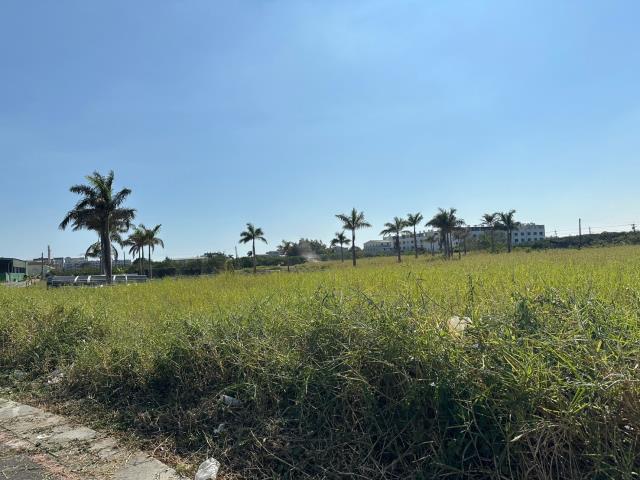 麻豆工業地-2