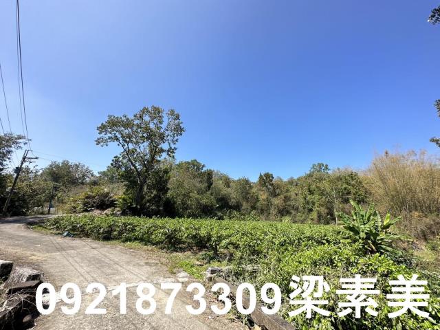 台南玉井農地-13