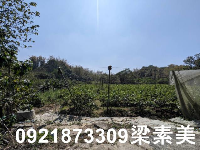 台南玉井農地-9