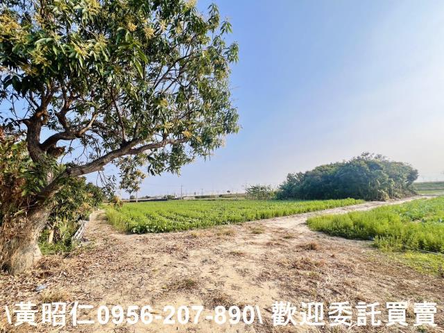 台南仁德農地-2