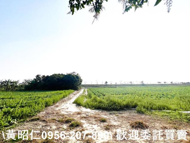 台南仁德農地-3