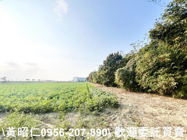 台南仁德農地-4