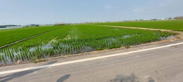 嘉義農地-7