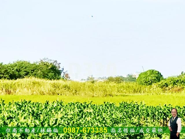 台南農地-11