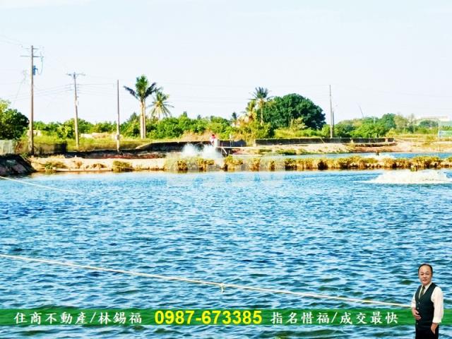 台南農地-1