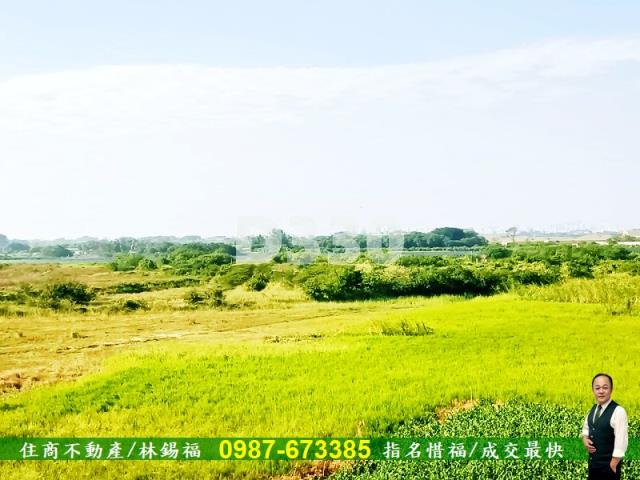 台南農地-6