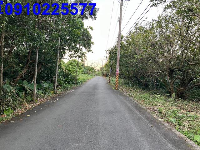 員山農地-4