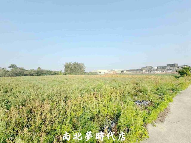 台南新化農地-1