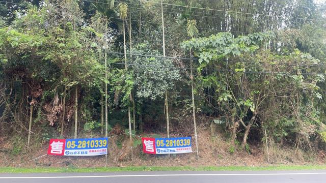 嘉義梅山農地-2